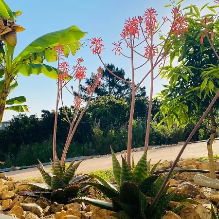 Beautiful U Mare Sea And Mountain View * Sari-Solenzara