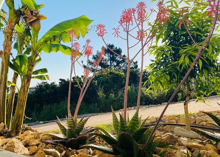 Beautiful U Mare Sea And Mountain View * 萨里索伦札拉